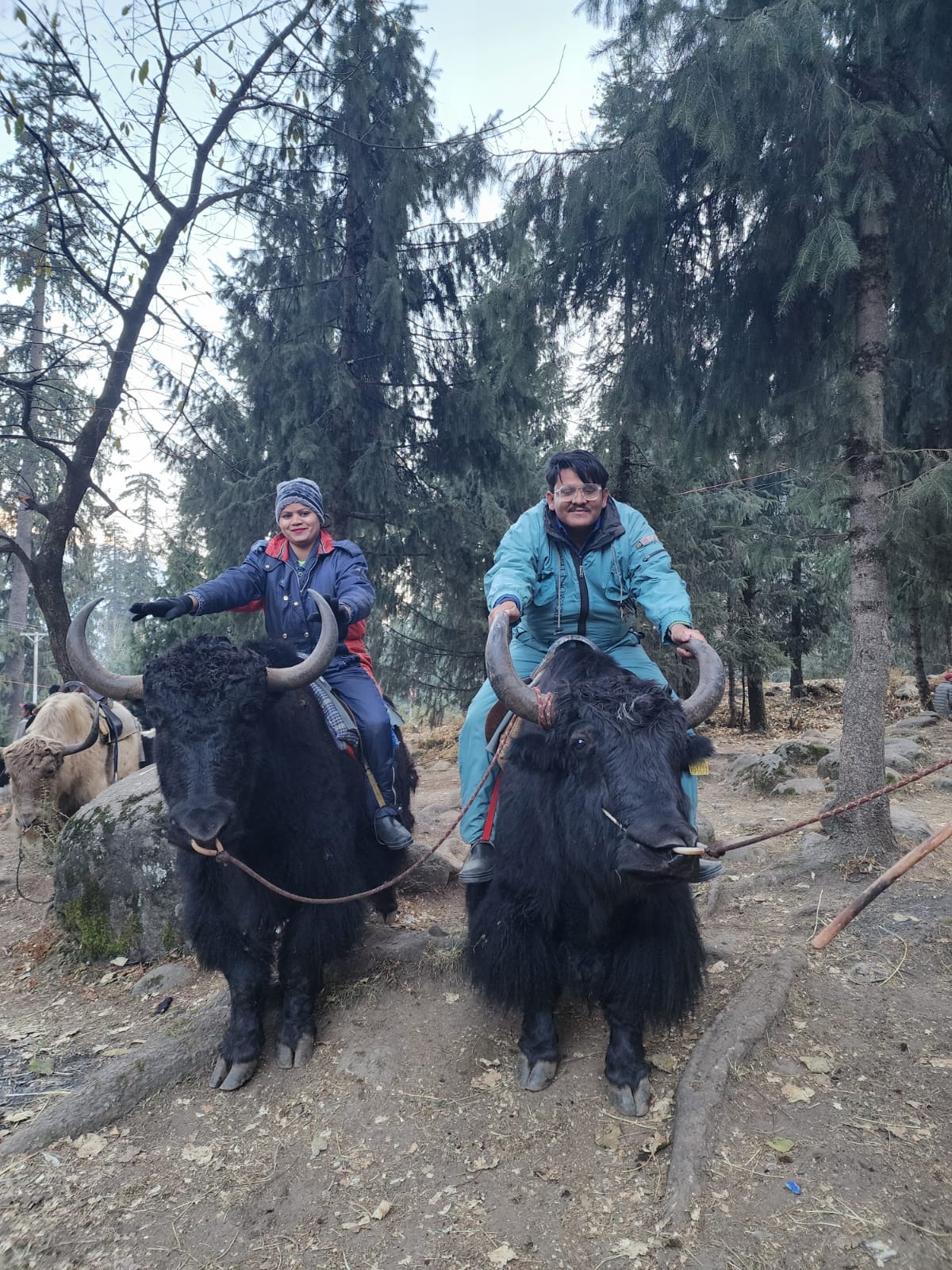Kashmir snowcapped mountains